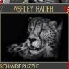 Schmidt: Ashley Rader - Speed, Cheetah - The Epitome of Grace (1000)