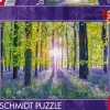 Schmidt: Assaf Frank - Tranquil Bluebell Woods (1000)