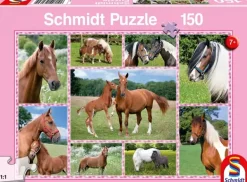 Schmidt: Beautiful Horses (150)
