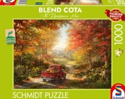 Schmidt: Blend Cota - Back Home (1000)
