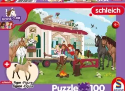 Schmidt: Campfire at the Caravan (100)