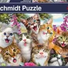Schmidt: Cat Selfie (500)