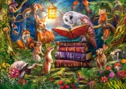 Schmidt: Ciro Marchetti - Bedtime Stories in the Woods (1000)