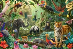 Schmidt: Colourful Jungle Wildlife (100)