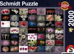 Schmidt: Floral Greeting (2000)