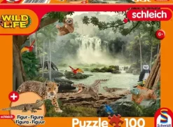 Schmidt: In the Rainforest (100)