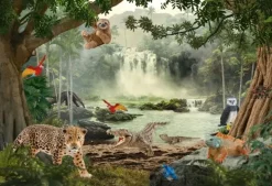 Schmidt: In the Rainforest (100)