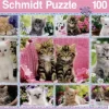Schmidt: Kittens (100)