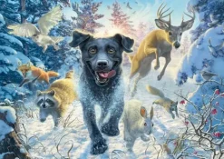 Schmidt: Mark Fredrickson - A Black Labrador in the Snow (1000)