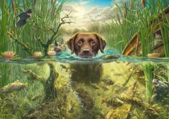 Schmidt: Mark Fredrickson - A Chocolate Labrador Takes a Cool Dip (1000)