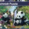 Schmidt: Panda Family at the Waterfall (500)