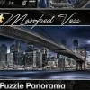 Schmidt: Panorama - Manfred Voss, New York Dark Night (1000)
