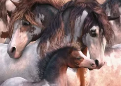 Schmidt: Pinto-Hearth (1000)