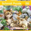 Schmidt: Playful Kittens (150)