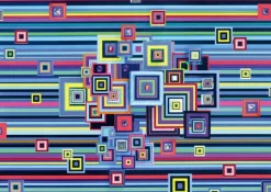 Schmidt: Robert Swedroe - Cyber Cycle (1000)