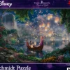Schmidt: Thomas Kinkade - Painter of Light, Disney: Tangled (Rapunzel) (1000)