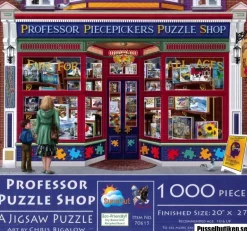 SunsOut: Professor Puzzle Shop (1000)