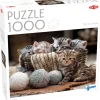 Tactic: Cute Kittens (1000)