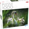 Tactic: Swan on Lake with Babies (1000)