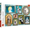 Trefl: Doggies Gallery (1000)