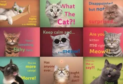 Trefl: Funny Cats Faces (1500)