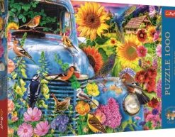 Trefl: Lars Stewart - Country Life, Songbirds (1000)