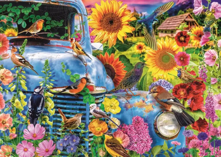 Trefl: Lars Stewart - Country Life, Songbirds (1000)