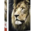 Trefl: Lion's Portrait (1500)