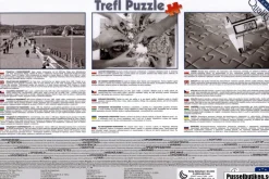 Trefl: Victorian Cottage (1000)