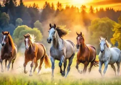 Trefl: Wild Horses (1500)