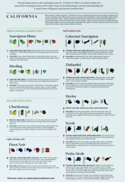 Water & Wines: California - Wine Puzzle (1000)