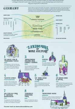 Water & Wines: Germany - Wine Puzzle (1000)