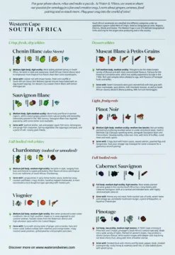 Water & Wines: South Africa - Wine Puzzle (1000)