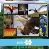 WWF Puzzle: Birds (1000)