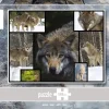 WWF Puzzle: Wolves (1000)